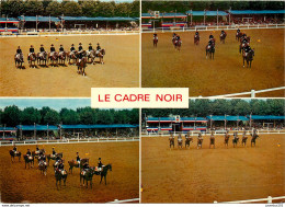 CPSM Saumur-Le Cadre Noir                               L2736 - Saumur