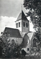 Wieze Church - Lebbeke