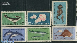 Bulgaria 1961 Black Sea Animals 6v, Mint NH, Nature - Fish - Sea Mammals - Unused Stamps