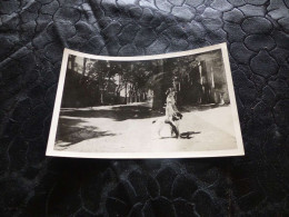 P-922 , Photo , Aix En Provence, Petite Fille Balladant Son Chien Dans Une Rue De Platanes, Circa 1950 - Personas Anónimos