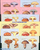 Bhutan 1989 Mushrooms 12 S/s, Mint NH, Nature - Mushrooms - Champignons