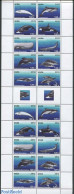 Aruba 2012 Whales 2x10v M/s, Mint NH, Nature - Sea Mammals - Other & Unclassified