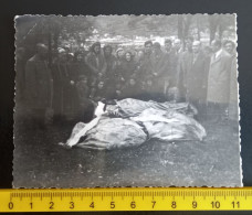 #21   Anonymous Persons - Funeral Dead Woman In A Coffin / Femme Morte Funéraire Dans Un Cercueil - Anonymous Persons