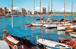 06 -  GOLFE JUAN ( Vallauris ) - Le Port De Plaisance - Vallauris