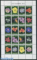 Aruba 2013 Flowers M/s, Mint NH, Nature - Flowers & Plants - Other & Unclassified