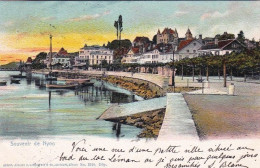 Vaud - Souvenir De NYON 1902 - Autres & Non Classés
