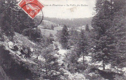 88 - Environs De PLOMBIERES - La Vallée Des Roches - Plombieres Les Bains