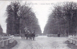 61 - Orne -  LE HARAS Du PIN - Avenue Louis XIV - Attelage De Chevaux - Hippisme - Autres & Non Classés