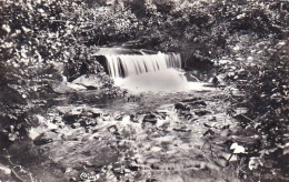 58 - Nievre -  Dun Les Plages - Le Saut De La Truite  - Autres & Non Classés