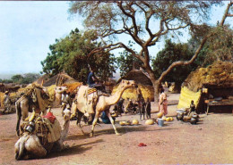 République Du NIGER  - Scene Villageoise - Niger