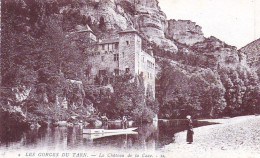 48 -  Lozere - Gorges Du Tarn -   Le Chateau De La Case - Altri & Non Classificati