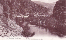 48 -  Lozere - Gorges Du Tarn -  Les Roches De Pougnadoire - Sonstige & Ohne Zuordnung