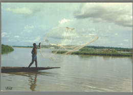 CPM - Mali - Pêche à L'épervier Sur Le Niger - Mali