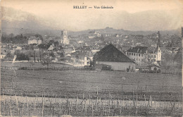 01-BELLEY-N°425-A/0205 - Belley