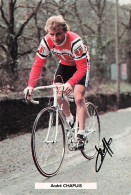 Vélo - Cyclisme - Coureur Cycliste André Chapuis - Team Systeme U - 1984 - Cyclisme