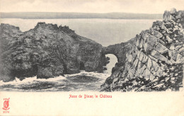 22-ANSE DE DINAN LE CHATEAU-N°427-D/0207 - Autres & Non Classés