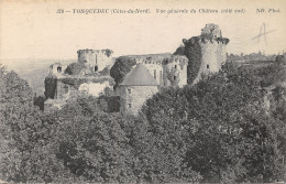 22-TONQUEDEC-LE CHATEAU-N°427-F/0253 - Andere & Zonder Classificatie