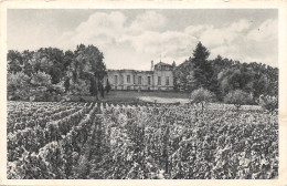 33-SAINT EMILION-CHATEAU HAUT SARPE-N°429-A/0123 - Saint-Emilion