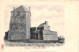 29-CAMARET-N°428-G/0193 - Camaret-sur-Mer