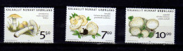 Groenland - 2006 -  Champignons - Neufs** - MNH - Ungebraucht