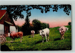 12057931 - Rinder / Kuehe Rinder Mit Glocke Auf Der - Stiere