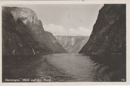 NORG173 --    BLICK AUF DEN FJORD  --  ECHTE PHOTOGRAPHIE - Norwegen