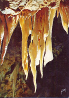 *CPM - 34 - SAINT GUILHEM LE DÉSERT - Grotte De Clamousse - Salle Du Porche - Oreilles D'Eléphants - Sonstige & Ohne Zuordnung