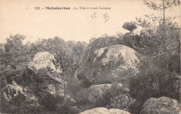 45-MALESHERBES-LA TETE A LOUIS LEMEUR-N°430-G/0147 - Malesherbes