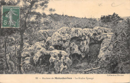 45-MALESHERBES-LA ROCHE EPONGE-N°430-G/0145 - Malesherbes