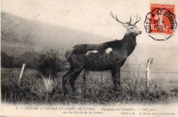 4V5Hy   Chasse à Courre Chasseur Foret De Lyons Cerf Pris Sur Les Bords De La Lieure - Jagd