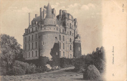 49-BRISSAC-LE CHATEAU-N°431-A/0183 - Other & Unclassified