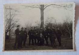 Ww2 Bulgaria Bulgarian Military Soldiers With Uniforms, Field Portrait, Vintage Orig Photo 8.6x5.9cm. (11099) - Guerra, Militari