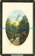 R656561 The Forest Path. A. And G. Taylor. Orthochrome Series - Monde