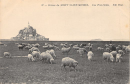 50-LE MONT SAINT MICHEL-N°431-D/0007 - Le Mont Saint Michel