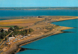 L’Aiguillon Sur Mer - La Pointe De L’Aiguillon Et Le Camping Des Dunes - Sonstige & Ohne Zuordnung