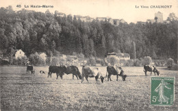 52-CHAUMONT-N°431-G/0119 - Chaumont