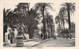 83-HYERES LES PALMIERS-N°434-B/0057 - Hyeres