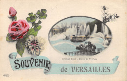 78-VERSAILLES-N°433-F/0363 - Versailles