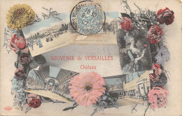 78-VERSAILLES-N°433-F/0365 - Versailles