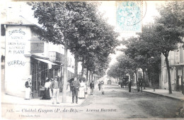 C. P. A. : 63 : CHATEL GUYON : Avenue Baraduc, "Chatel Guyon Agence Maison PLANE", Animé, Timbre En 1904 - Châtel-Guyon