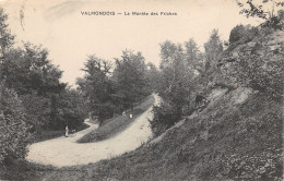 95-VALMONDOIS-N°435-A/0251 - Valmondois