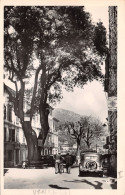 06-VENCE-N°437-E/0145 - Vence