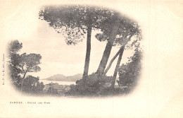 06-CANNES-N°437-D/0275 - Cannes