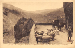 15-SCENE D AUVERGNE-MOUTONS-N°438-A/0379 - Andere & Zonder Classificatie