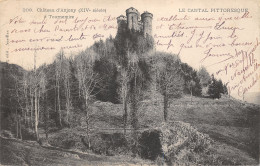 15-TOURNEMIRE-CHÂTEAU D ANJONY-N°438-A/0287 - Other & Unclassified