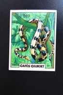 Chromo "Cafés GILBERT" - Série 20 "LES REPTILES" - Thé & Café