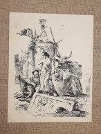 Pastorella Vecchio Scimmia E Pulcinello Giambattista Tiepolo Incisione Del 1896 - Antes 1900