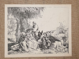 La Fuga In Egitto (5) Giambattista O Batista Tiepolo Incisione Del 1896 - Voor 1900