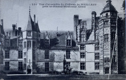 CPA (Cher). Vue D'ensemble Du Château De MEILLANT Près St Amand Montrond (n°236) - Autres & Non Classés