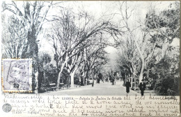 C. P. A. : Portugal : LISBOA : Entrada Do Jardim Da Estrella, Timbre En 1906 - Lisboa